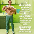 Beneful Purina Freshly Prepared Beef Stew Wet Dog Food, (8) 10 oz Tubs
