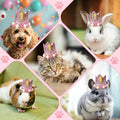 Pet Birthday Crown with Age Numbers, Adjustable Reusable Dog Birthday Hat