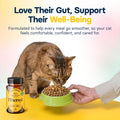 FiberSyl Prebiotics for Cats Digestive Health - Cat Fiber Supplements for Constipation Relief & Support - Psyllium Husk Seed to Support Digestion Problems - Cat Stool Hardener - 60 Capsules