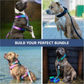 Spark Paws Hands Free Dog Leash - Bungee Waist Belt for Running & Walking