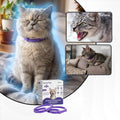 Gentle Paws 60-Day Cat Calming Collar (2-Pack) | for Stress, Fighting, Spraying, Pee Accidents, Anxiety & Aggression | L