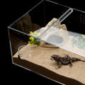 2 Pack Jumping Spider Feeding Dish, Acrylic Tarantula Water Dish Food Bowl