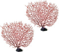 Red Coral Tree, 2pcs