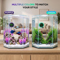 PAIZOO LED Aquarium Thermometer Digital