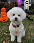 PET SHOW 6 Pack Holiday Dog Collar Charms Bells for Small Dogs Clip-on