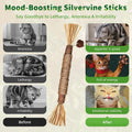 GBSYU Silvervine Sticks Cat Kitten Chew Toys for Indoor Cats Teeth Cleaning