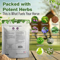 Silver Lining Herbs Power Dust Horse Wound Care Powder - 1 lb