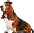 Rubies Cowboy Pet Hat for Dogs or Cats, S/M