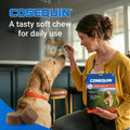 Nutramax Laboratories Cosequin DS Plus MSM Professional Line for Dogs, 60 Soft Chews