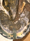 B Gone Hoof Clay - Official Store, for Equestrians, Horses with Whiteline Disease, Seedy Toe, Horse Care, White Line Pre