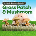 TEEWY Guinea Pig Chew Toys, Prevent Teeth Overgrowth, Natural Timothy Grass & Vegetables, Hamster Chew Toys, Guinea Pig 