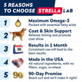 StrellaLab Wild Alaskan Salmon Oil for Dogs - Natural Omega 3 for Dogs & Cats, Itch & Allergy Relief, Skin & Coat Support - Fish Oil Liquid, EPA+DHA Fatty Acids for Hip&Joint, Immune&Heart Health 8 Oz
