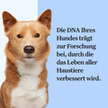 Wisdom Panel Dog Breed Detection DNA Test Kit - Accurate Breed ID MDR1 Pedigree Relatives