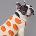 Fitwarm Pumpkin Dog Sweater, Thanksgiving Outfit for Small Dogs Boy Girl, Pet Outfit, Orange, Beige