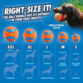 Chuckit! Classic 26M Dog Ball Launcher, 26in, Includes Medium 2.5in Ball