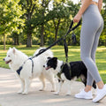 Double Dog Leash, Reflective Shock Absorbing Bungee for 2 Dogs