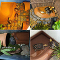 3PCS Tortoise Water Bowl with Ramp Leaf Tortoise Food Water Pool Reptile Bathing Turtle Soaking Dish Aquarium Habitat Ac