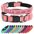 CHRYMPETIC Personalized Dog Collar with Embroidered Name and Phone, Nylon Collar for Dog with Silicone Holder for AirTag, Neoprene Lining, Plastic Quick-Release Buckle (Pink)