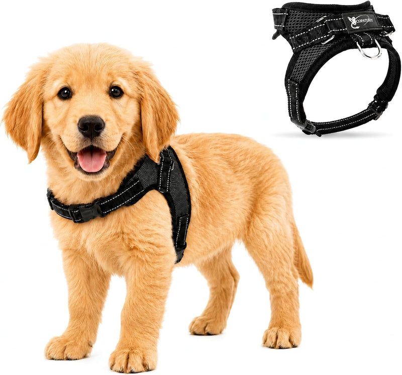 No Pull Reflective Adjustable Dog Harness with Handle- Comfortable Soft All Weather Mesh, Easy On Puppy Harness for Smal