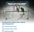 Bird Cage Light,Bird Lamp,Bird Lighting Timed Lighting Off,Full Spectrum LED Pet Light,Simulates Natural Environment,Birdcage Accessories,for All Kinds Captive Birds