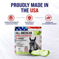 Horse Electrolytes Powder, Tasty Equine Hydration, Just Add to Water, Crisp Apple Flavor, 5 Pound Bag, Made in the USA