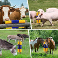 2PCS Livestock Scratch Brushes, Horse Scratcher Full Massage Brush Kit, Relieve Itching on Back, for Horse, Cattle, Shee
