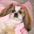 Chumia 100 Pcs Dog Hair Bows with Rubber Band for Small Dogs Puppy Hair Accessories Grooming Bows Pet Bowknot for Cat Poodle Shih Tzu(Classic)