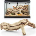 Janinka 14-17" Large Reptile Driftwood Branch for Bearded Dragon Gecko