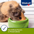 Vitakraft Slims Carrot Small Animal Treats – Light, Healthy Food Bites - Crispy Carrot Treats for Rabbits, Guinea Pigs, 
