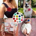 URABLAZ Dog Collar Large Flowers, 55 Pieces Multi-Color Pet Christmas Floral Charms Flower Bow Ties Attachment for Puppy Dogs Cats Grooming Accessories