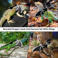 Bearded Dragon Leash and Harness Set, Bearded Dragon Accessories(Include Chest Pack, Lizard Leash), Bearded Dragon Decor
