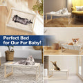 EUIJOIP Cat Bed with Washable Pad - 9.5" Elevated Wooden Cat Hammock Bed, 360° View Design, Cot with Breathable Summer Mattress for Kitty, Puppy, Rabbit and All Pets