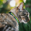 Buckle-Down Cat Collar Breakaway Scooby Doo The Mystery Machine Paint Job Green Aqua Orange 8 to 12 Inches 0.5 Inch Wide