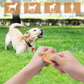 Tick Remover Tool Portable with Tick Removal Tweezers Suitable for Pet and Humans, Safe and Reliable, Quick Highly Effective, Pain-Free, Essential Tick Remover Key Tools for Outdoor Activities-3 Pack
