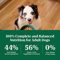 Nutro Natural Choice Adult Dry Dog Food, Chicken & Brown Rice Recipe, 5 lb