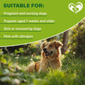 Natural Flea & Tick Collar for Dogs - 6 Months Control of Best Prevention & Safe Treatment - Anti Fleas and Ticks Essent