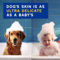 DOUXO SPA Oatmeal Dog Shampoo, 16 fl oz