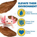 SunGrow 10 Pack Axolotl Indian Almond Leaves for Aquarium, 5-Inches, Catappa Leaf Soothes Pet’s Slime Skin, Aquarium Wat