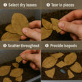 Leaf Litter for Isopods – 80 Pcs 4" Natural Indian Almond Catappa Leaves for Bioactive Vivariums, Terrariums & Aquariums