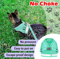 Cat Harness and Leash Set, Escape Proof Adjustable Soft Mesh Vest
