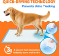 100 Count Puppy Pads 28"x34", Extra Large, Super Absorbent
