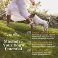Full Moon Pure Protein Air Dried Dog Food Ranch Raised Beef Recipe 2lb