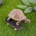 Tortoise Leash and Training Skateboard Toy, Mini Skateboard and Adjustable Harness for Turtle, Funny Tortoises Toys Acce