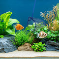 Mogoko 2 Pack Aquarium Net Fish Net Small Net Multi-Size Fine Mesh Fish Net