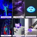 UV Flashlight Black Lights Wood’s Lamp Powerful Mini Portable, LED 395nm USB Rechargeable Ultraviolet Blacklight Flashli