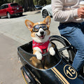 NAMSAN Medium Clear Dog Goggles Eye Protection, Dog Sun Glasses Small Medium Breed UV Protection, Dog Sunglasses for Dri