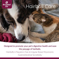 Hairball Care | Digestive Support for Cats and Dogs | Hairballs, Constipation, Intestinal Discomfort | 100mL Herbal Tinc