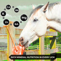 Himalayan Pink Salt Licks for Animals – Natural Salt Block with Rope for Horses, Cows, Deer & More – No Harmful Elements