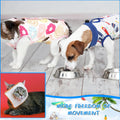 Kacctyen 6 Set Cat Recovery Suit After Surgery Female and Male Cat Kitten Surgery Suit E Collar Alternative Pajama Kitty Clothes for Spay Abdominal Skin Anti Licking(Animal,Medium)