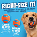 Chuckit! Cannon 18M Dog Ball Launcher, 18 Inch Size, Includes 3 Balls Total
